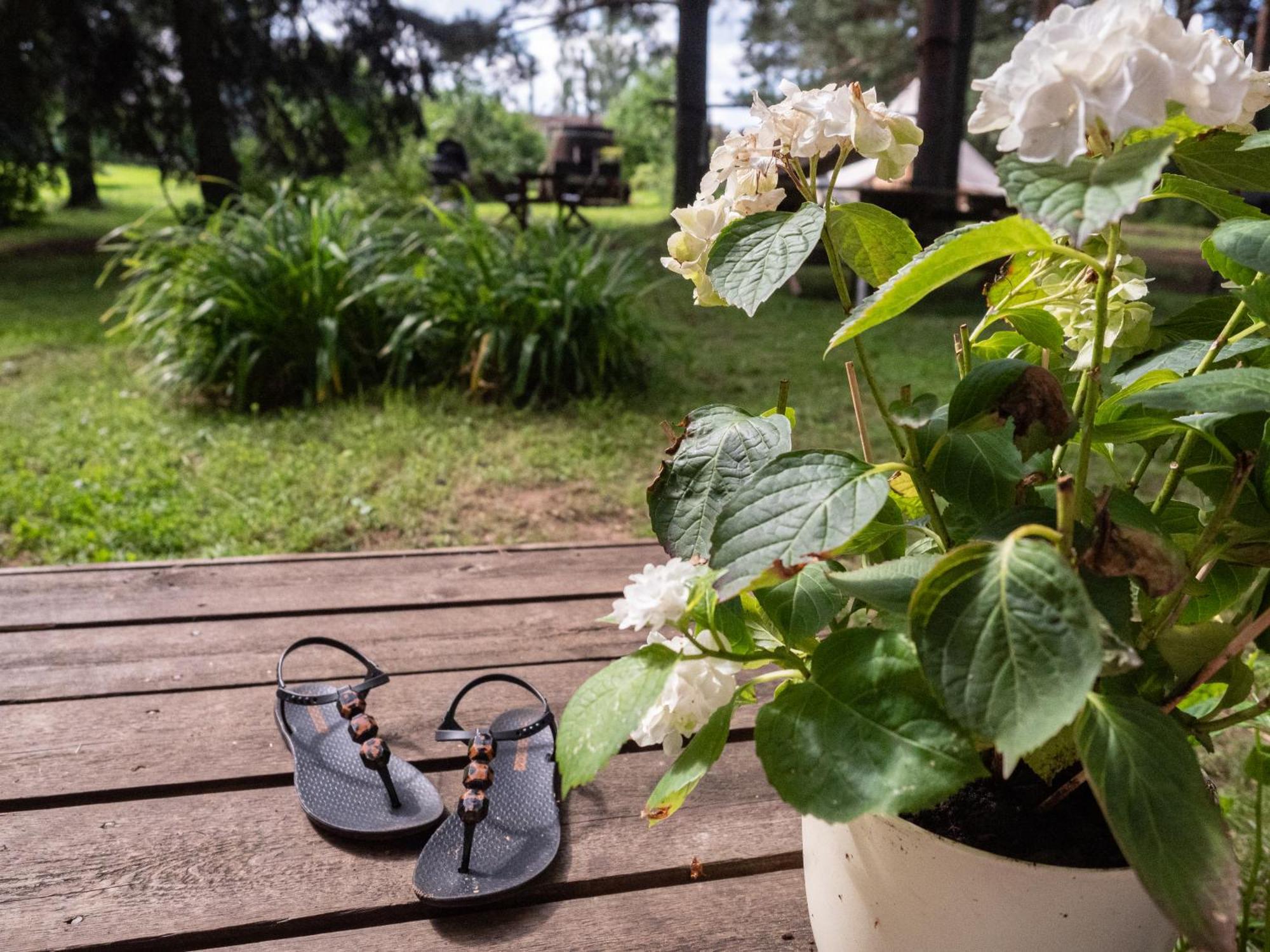 Mereaeaere Glamping Ja Rannamaja Liimala 外观 照片