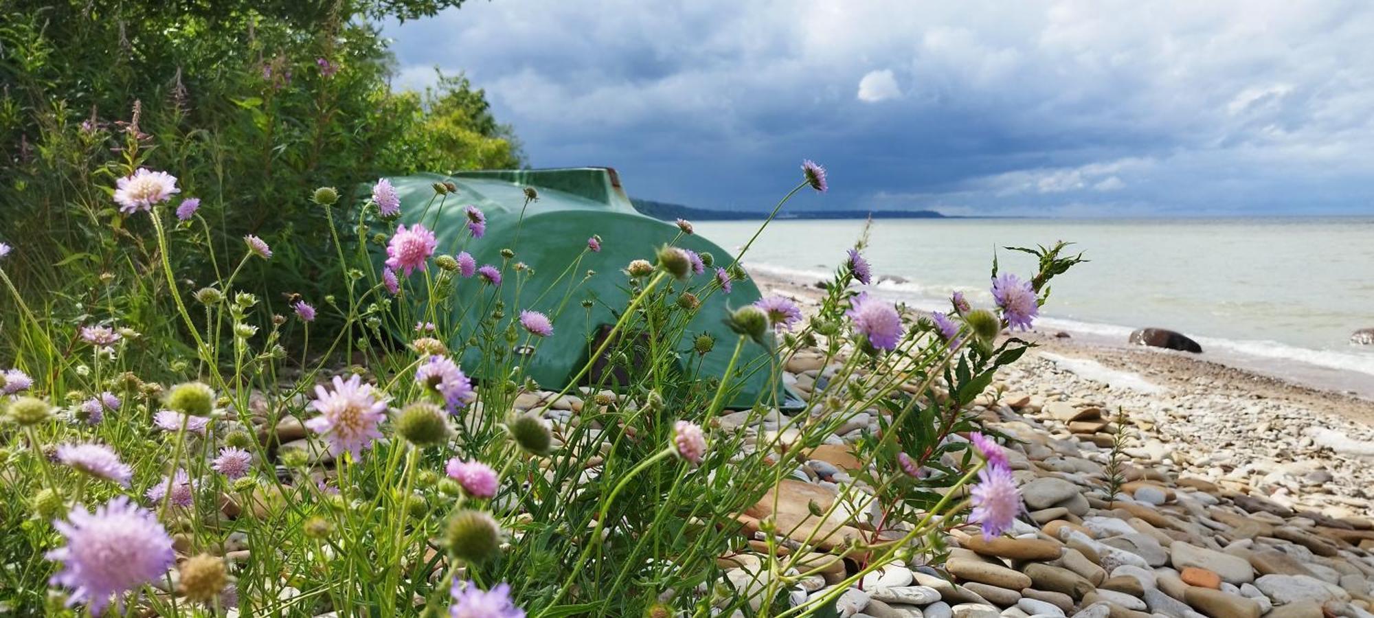 Mereaeaere Glamping Ja Rannamaja Liimala 外观 照片