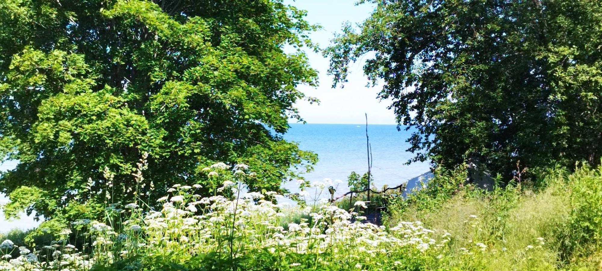 Mereaeaere Glamping Ja Rannamaja Liimala 外观 照片